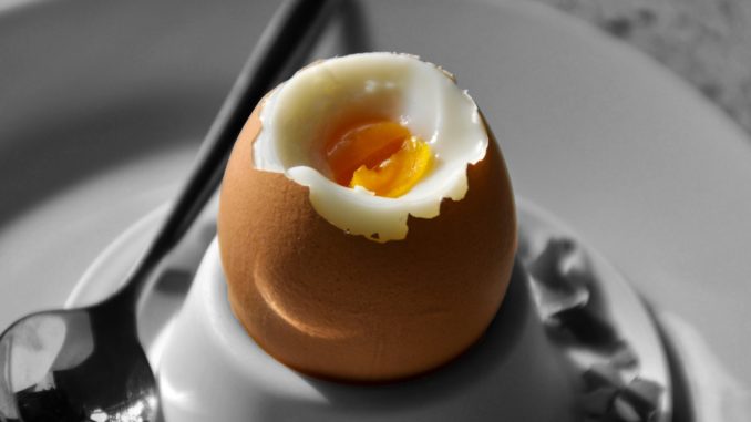 Egg Egg