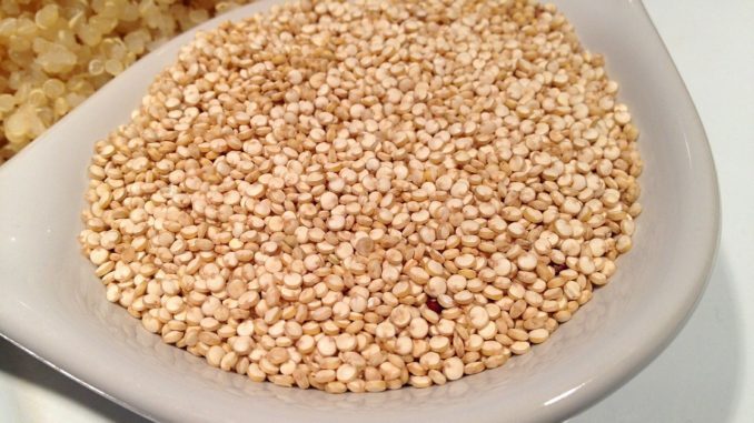 Quinoa Quinoa