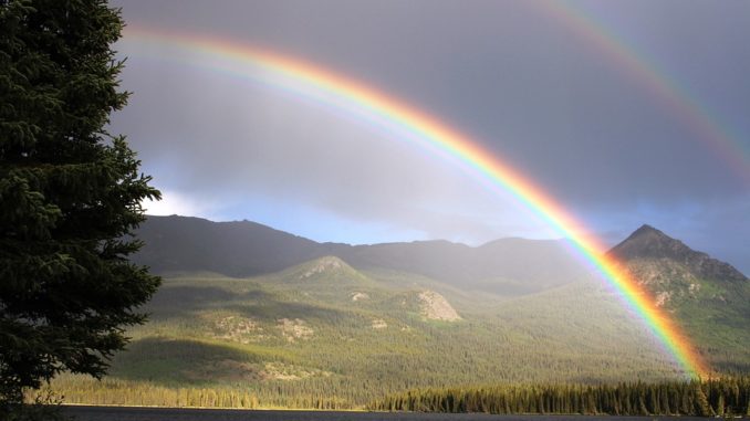 Rainbow Rainbow