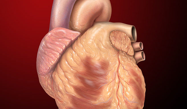 Heart Heart