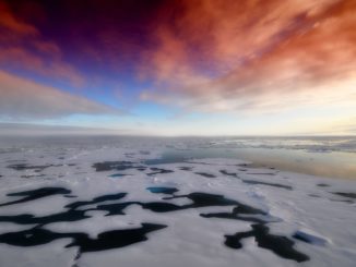 ice floats