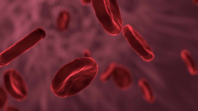 Blood-Groups Blood groups