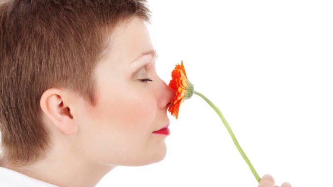 5-senses 5 senses