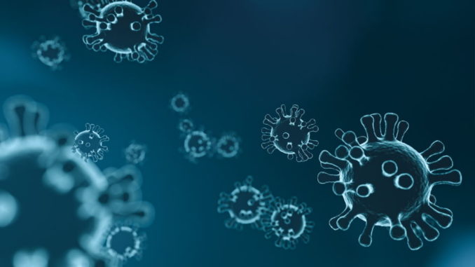 Coronavirus-Types Coronavirus Types