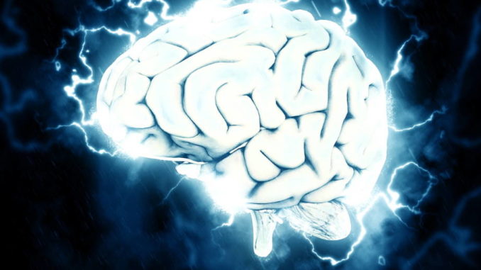 Brainwaves Brainwaves