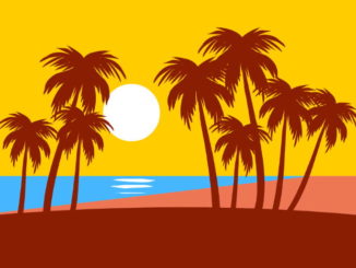Sun Burns